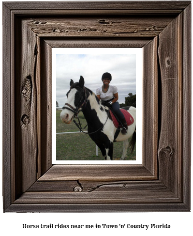 horse trail rides near me in Town 'n' Country, Florida